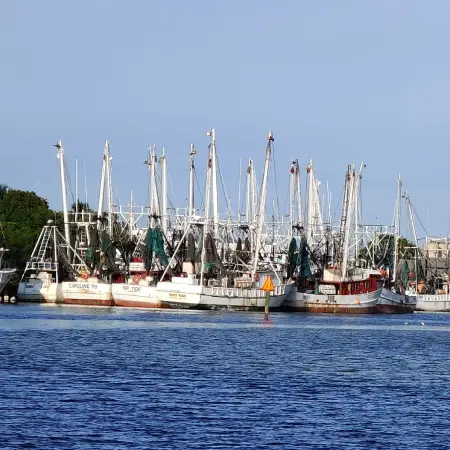 Shrimp Boats of Fort Myers Beach